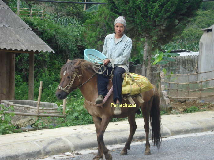 A lady rides a horse at Bac Ha Township