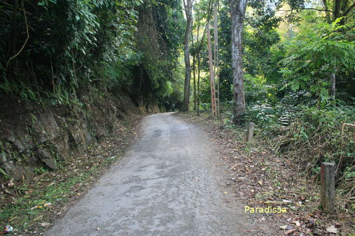 A lovely lakeside forest trail at the Ba Be National Park for bicycles or motorbikes