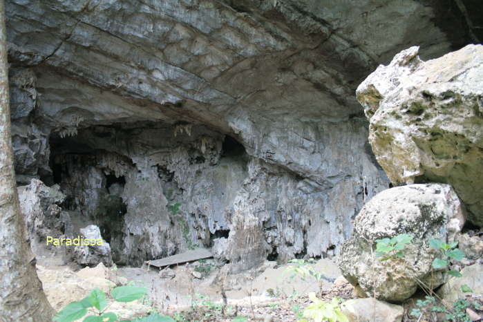 The Hua Ma Cave at the Ba Be National Park