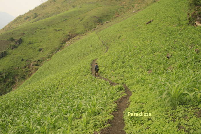 Time to trek downhill to the core zone of the Ba Be National Park