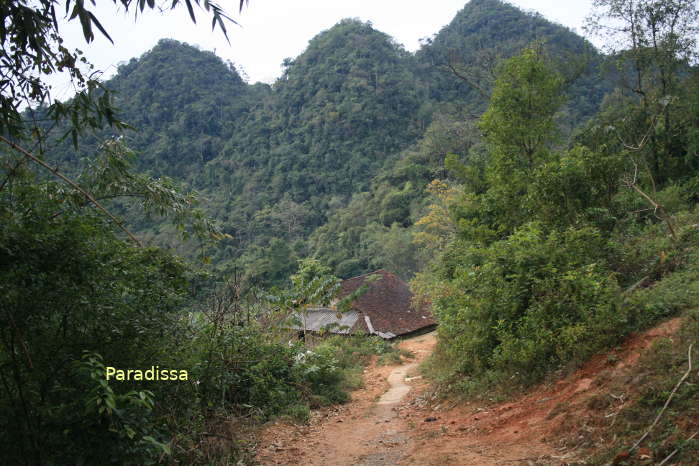 Trekking to our home for tonight at a Dao Village