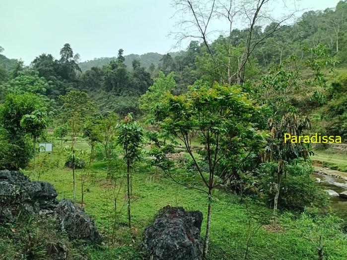 Travel guide to Pac Bo, Cao Bang, Vietnam Travel guide to Pac Bo, Cao Bang, Vietnam