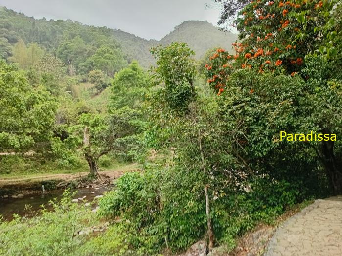 Travel guide to Pac Bo, Cao Bang, Vietnam Travel guide to Pac Bo, Cao Bang, Vietnam
