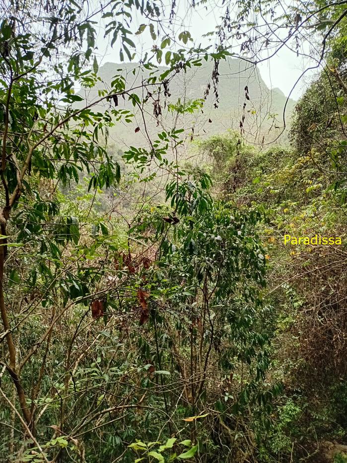 Travel guide to Pac Bo, Cao Bang, Vietnam Travel guide to Pac Bo, Cao Bang, Vietnam