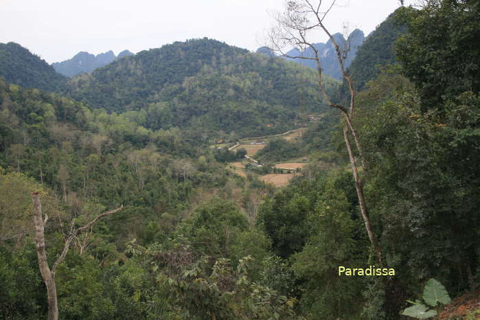 Forested limestone mountains at Cao Bang offer some of the most challenging and inpirational trekking tours in Vietnam