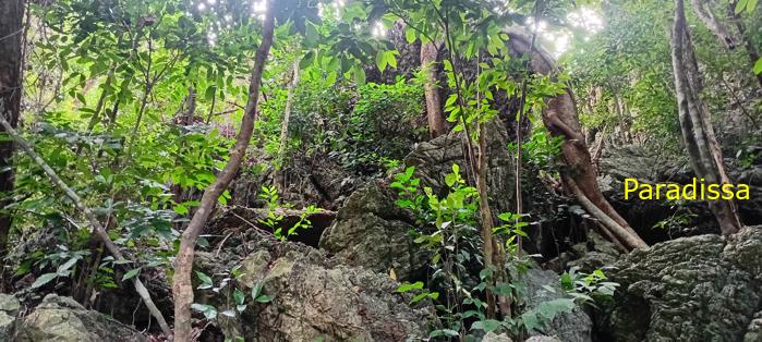 Travel guide to Cat Ba Island, Vietnam