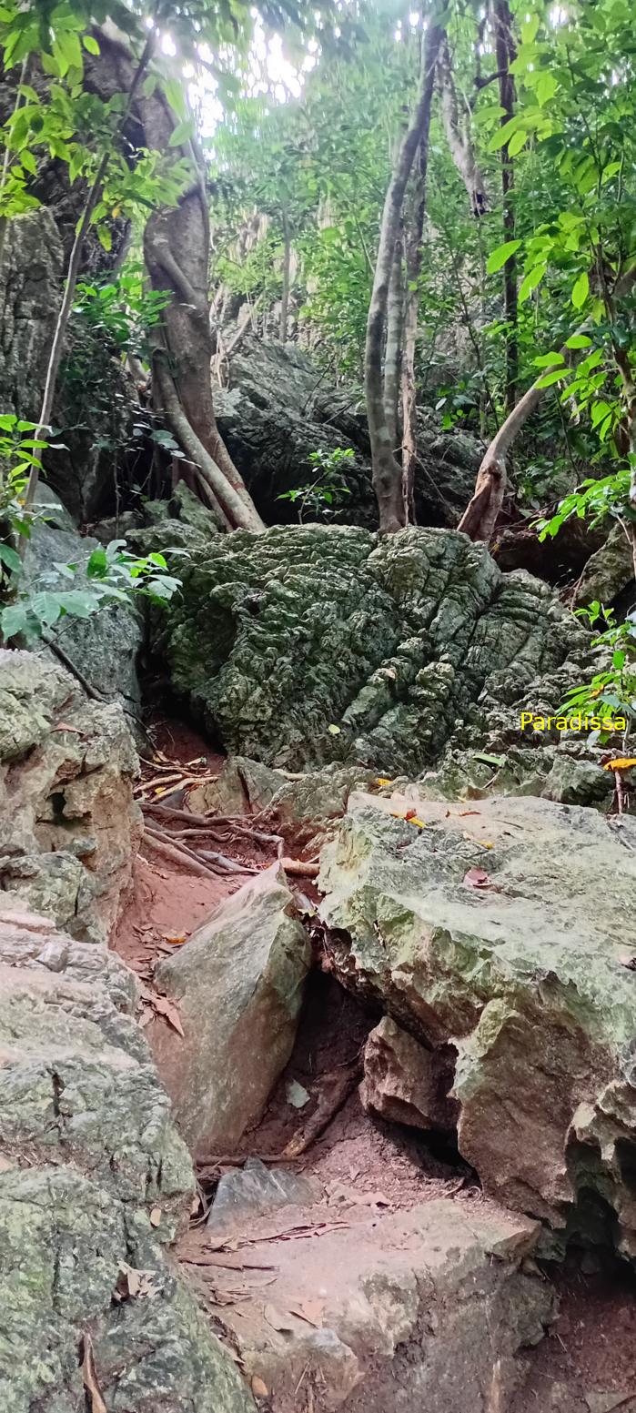 Travel guide to Cat Ba Island, Vietnam