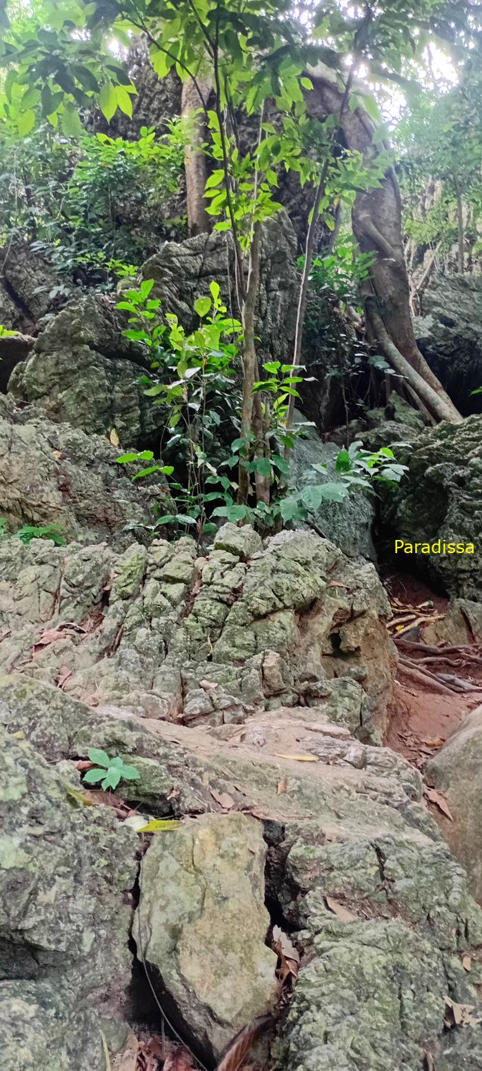 Travel guide to Cat Ba Island, Vietnam