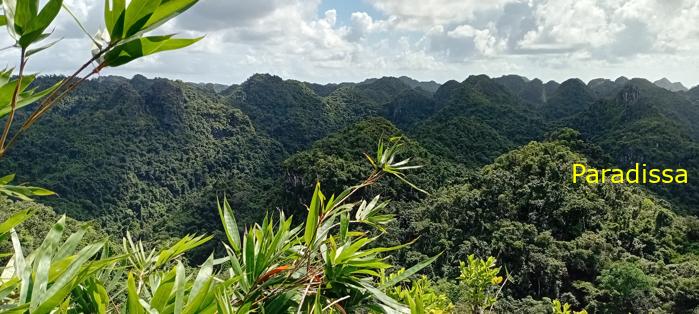 Travel guide to Cat Ba Island, Vietnam