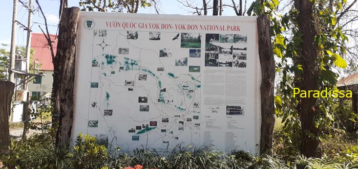 Bird watching at the Yok Don National Park in Vietnam