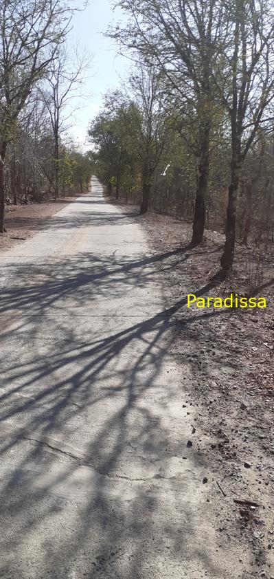 Bird watching at the Yok Don National Park in Vietnam