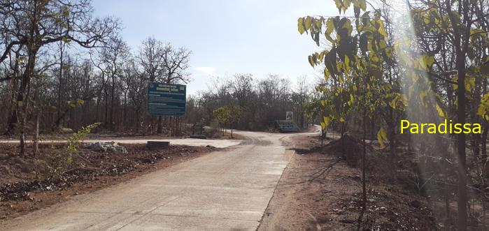Bird watching at the Yok Don National Park in Vietnam