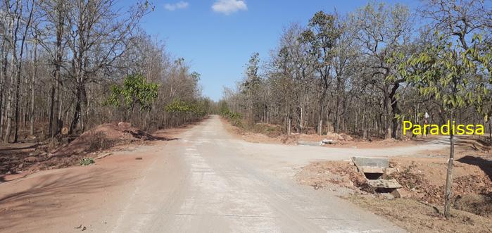 Bird watching at the Yok Don National Park in Vietnam