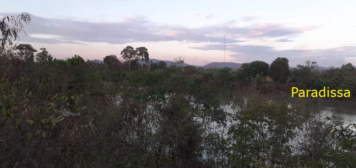 Bird watching at the Yok Don National Park in Vietnam