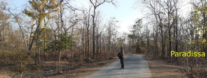Bird Watching at Yok Don National Park Vietnam