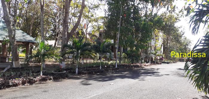 Bird watching at the Yok Don National Park in Vietnam