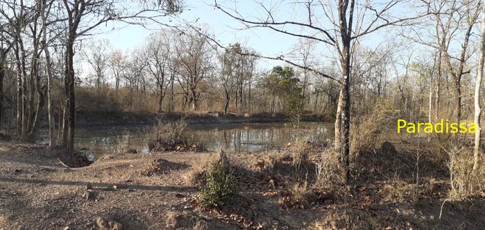 Bird watching at the Yok Don National Park in Vietnam