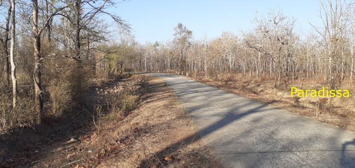 Bird watching at the Yok Don National Park in Vietnam