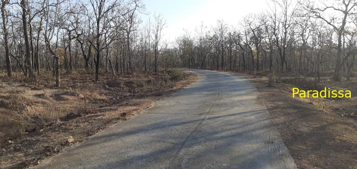 Bird watching at the Yok Don National Park in Vietnam
