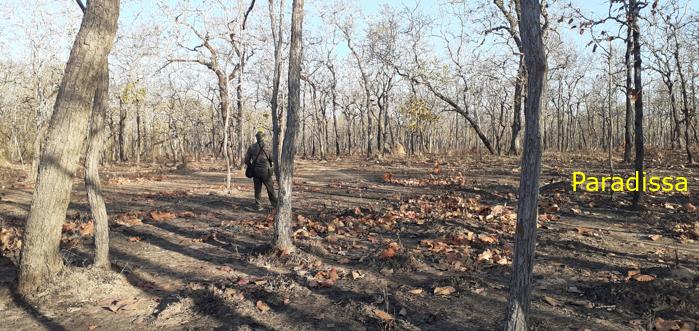 Bird watching at the Yok Don National Park in Vietnam