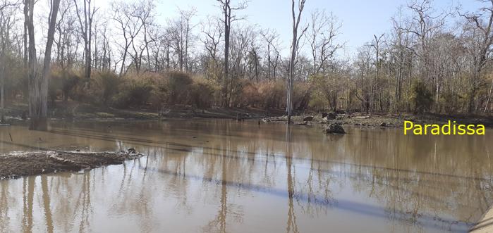 Bird watching at the Yok Don National Park in Vietnam