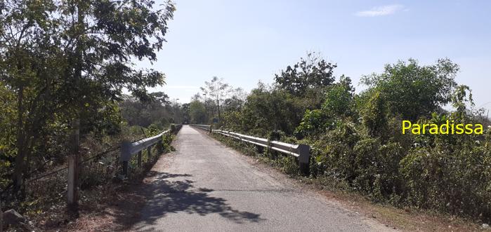 Bird watching at the Yok Don National Park in Vietnam