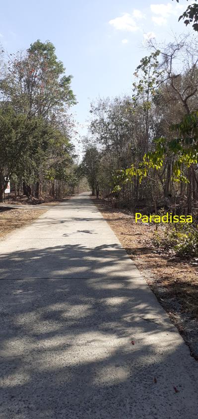 Bird watching at the Yok Don National Park in Vietnam
