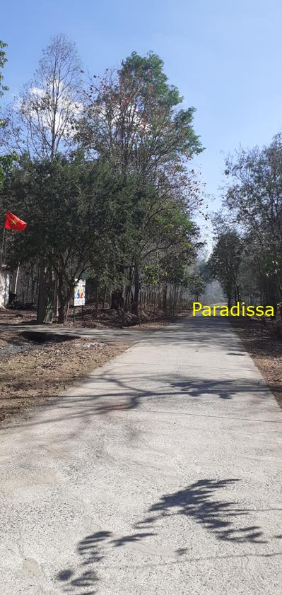 Bird watching at the Yok Don National Park in Vietnam