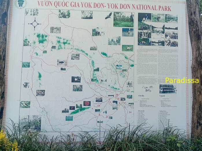 Bird watching at the Yok Don National Park, in the Central Highlands of Vietnam
