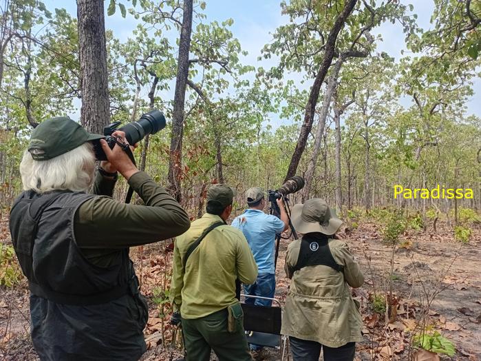 Bird watching at the Yok Don National Park, in the Central Highlands of Vietnam