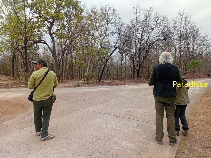 Bird watching at the Yok Don National Park, in the Central Highlands of Vietnam