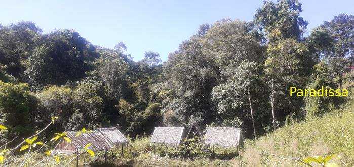 Bird watching in Cat Tien and Da Lat, Vietnam