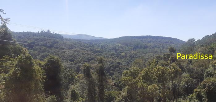 Bird watching in Cat Tien and Da Lat, Vietnam