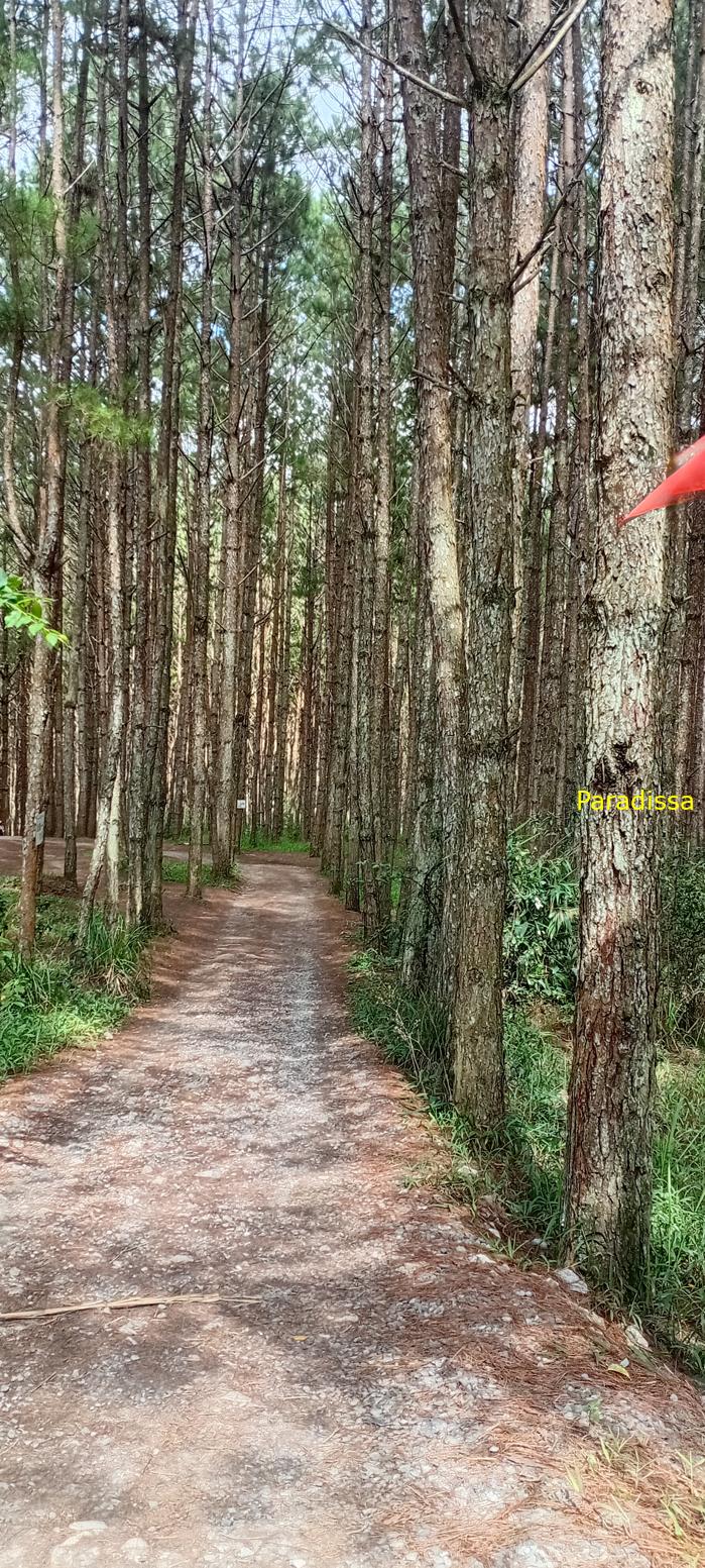 Birdwatching in Da Lat, Vietnam
