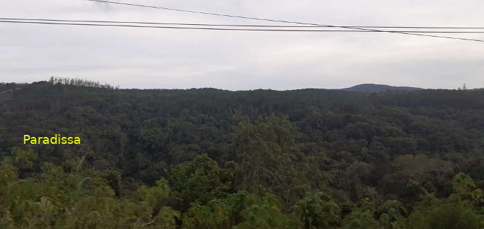 Bird watching at Ta Nung, Da Lat