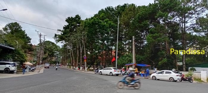 Travel guide to Da Lat, Vietnam Travel guide to Da Lat, Vietnam