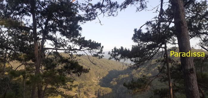 Family vacation to Da Lat, Vietnam