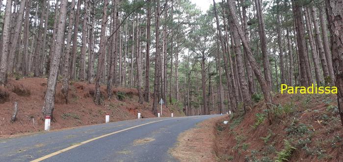 Family vacation to Da Lat, Vietnam