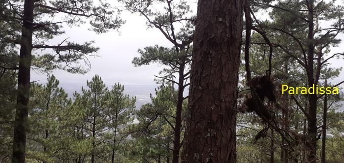 Family vacation to Da Lat, Vietnam