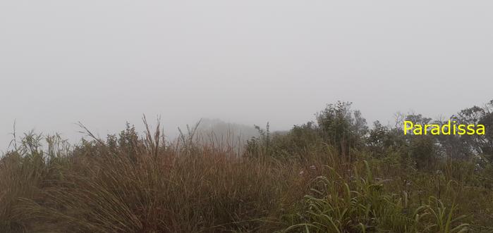 Family vacation to Da Lat, Vietnam