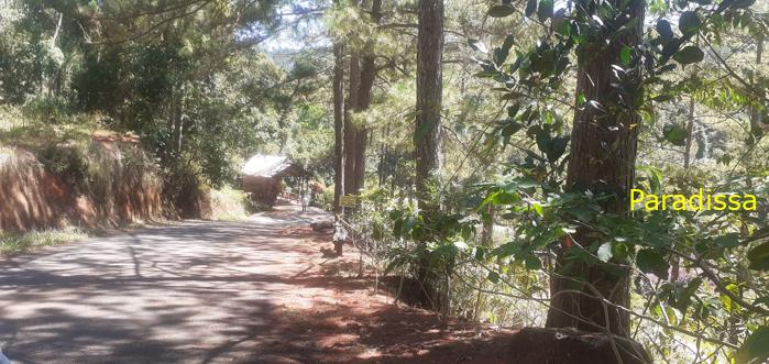 Family vacation to Da Lat, Vietnam