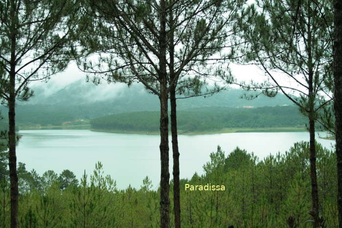 The Tuyen Lam Lake is among the most popular birding sites in Da Lat, Lam Dong, Vietnam