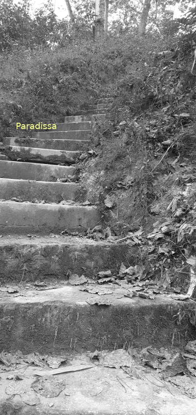 Steps to the top of Dominique 1 at Dien Bien Phu