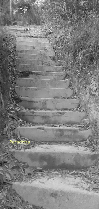 Steps to Eliane 1 of the battle of Dien Bien Phu