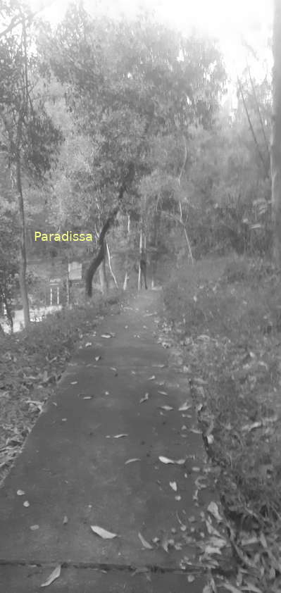 Path to Eliane 4 or C2