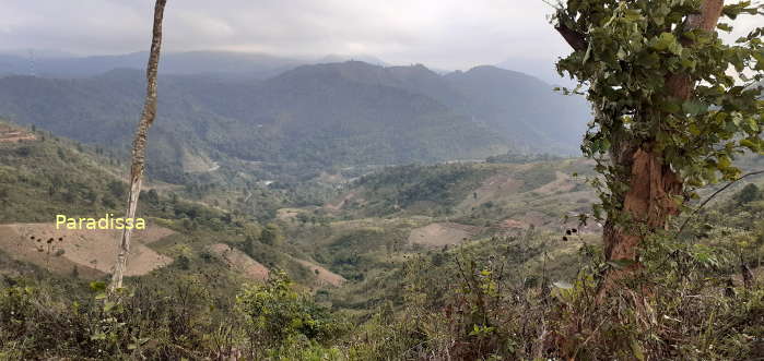 A view from one of the Viet Minh's artillery path