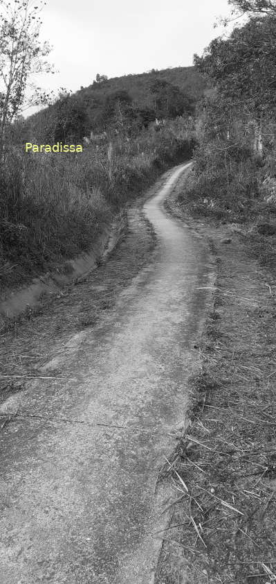 A Viet Minh's artillery path on a steep mountain slope