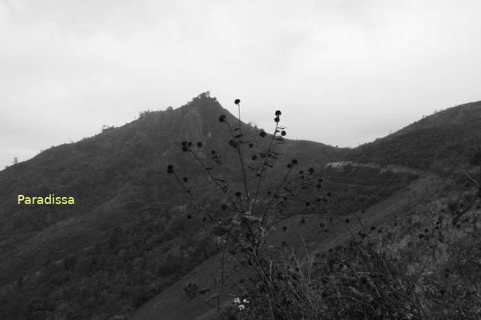 The top of a mountain which housed a bunker for one of the Viet Minh's 105mm howitzers in the battle of Dien Bien Phu