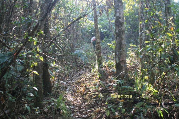 Trekking to the summit of the Pu Huot Mountain where General Giap observed and commanded the battle of Dien Bien Phu