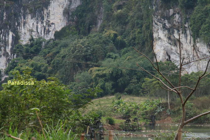 The woods in front of the Tham Pua Cave